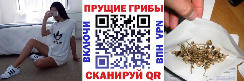 Псилоцибиновые грибы GOLDEN TEACHER  где купить наркоту  Великие Луки 